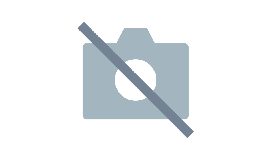 Windscreen Repair Carpid Needle